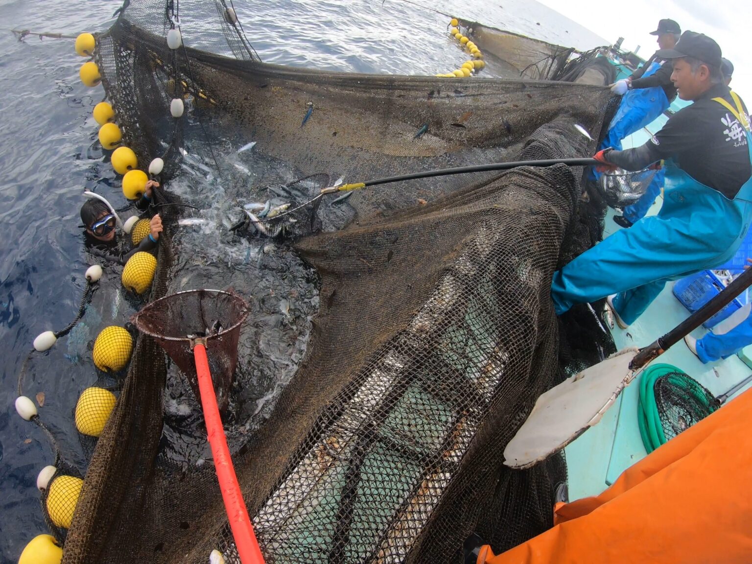 静岡県発 全長110m 漁網 捕獲網 追い込み網 袋網 地引網 養殖用 池上げ 